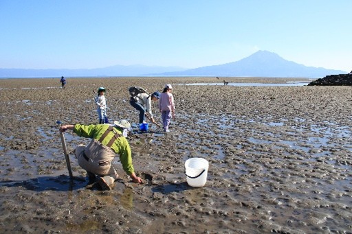 湿地保全活動の様子